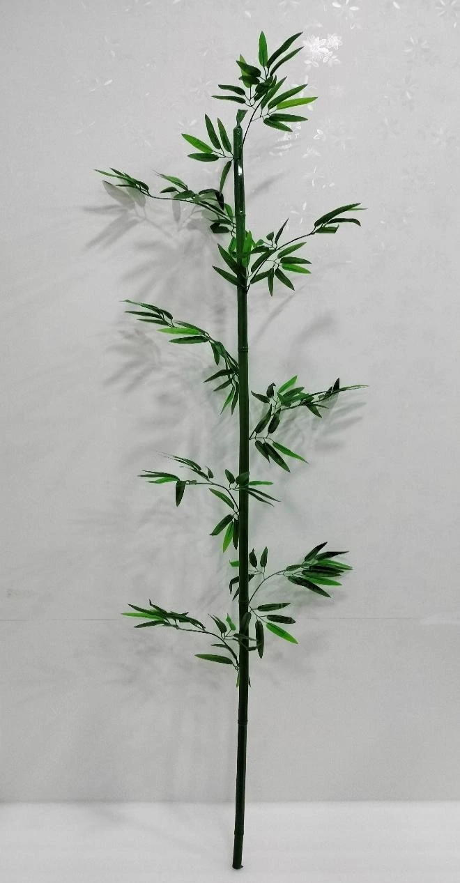 Bamboo 1.8 Mtr